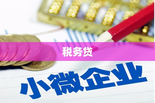 竹南税务贷