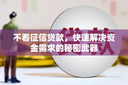 竹南不看征信贷款，快速解决资金需求的秘密武器