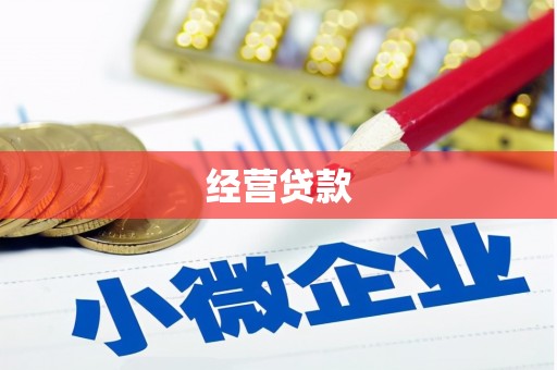 竹南经营贷款