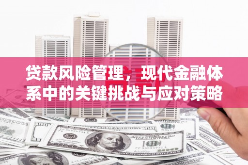 竹南贷款风险管理，现代金融体系中的关键挑战与应对策略