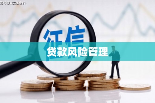 竹南贷款风险管理