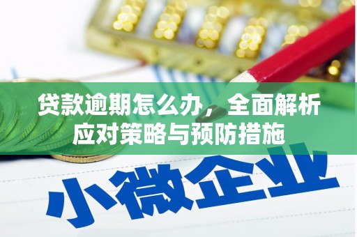 竹南贷款逾期怎么办，全面解析应对策略与预防措施