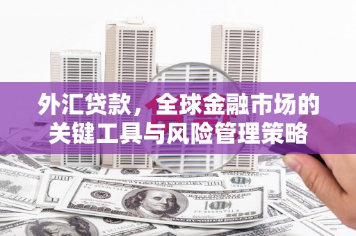 竹南外汇贷款，全球金融市场的关键工具与风险管理策略