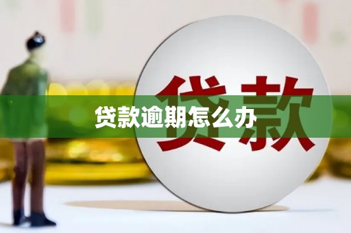竹南贷款逾期怎么办