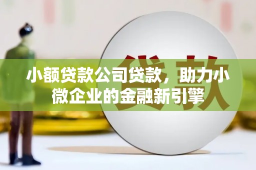 竹南小额贷款公司贷款，助力小微企业的金融新引擎