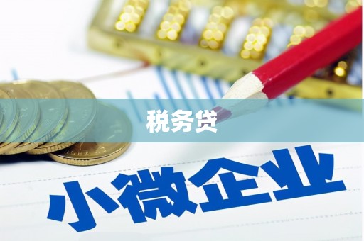 竹南税务贷