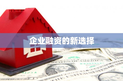 竹南企业融资的新选择