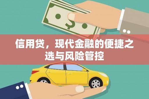 竹南信用贷，现代金融的便捷之选与风险管控