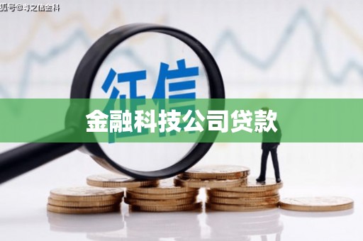 竹南金融科技公司贷款