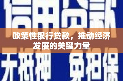 竹南政策性银行贷款，推动经济发展的关键力量