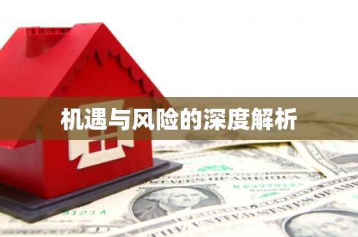 竹南机遇与风险的深度解析
