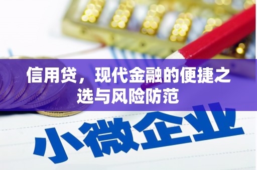竹南信用贷，现代金融的便捷之选与风险防范
