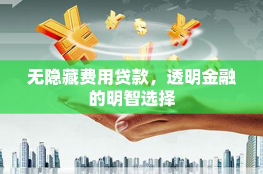 竹南无隐藏费用贷款，透明金融的明智选择