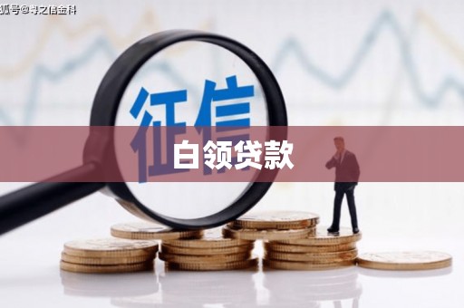 竹南白领贷款