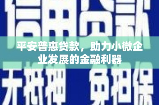 竹南平安普惠贷款，助力小微企业发展的金融利器