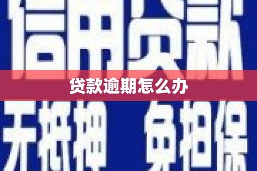 竹南贷款逾期怎么办