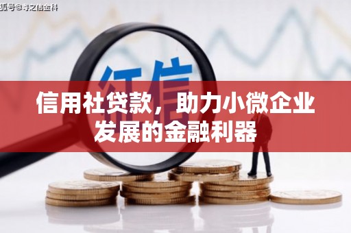 竹南信用社贷款，助力小微企业发展的金融利器