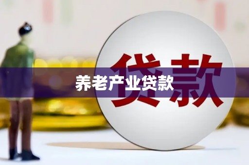竹南养老产业贷款