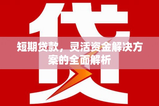 竹南短期贷款，灵活资金解决方案的全面解析