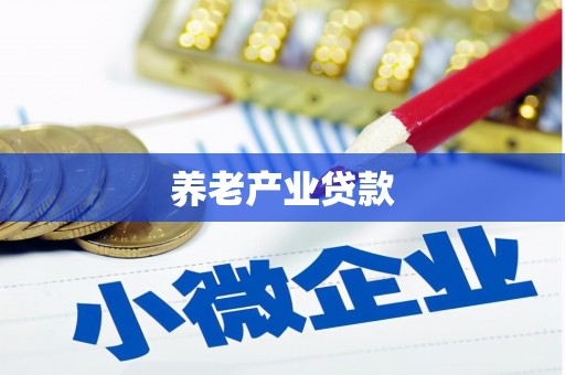 竹南养老产业贷款