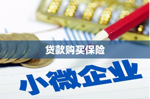 竹南贷款购买保险
