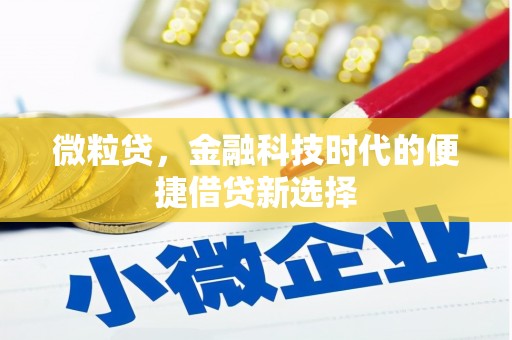 竹南微粒贷，金融科技时代的便捷借贷新选择