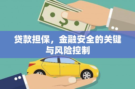 竹南贷款担保，金融安全的关键与风险控制