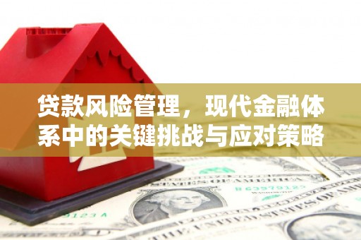 竹南贷款风险管理，现代金融体系中的关键挑战与应对策略