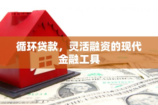 竹南循环贷款，灵活融资的现代金融工具