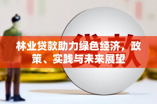 竹南林业贷款助力绿色经济，政策、实践与未来展望