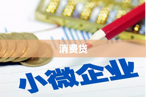 竹南消费贷