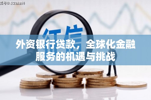 竹南外资银行贷款，全球化金融服务的机遇与挑战