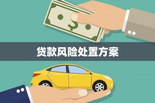 竹南贷款风险处置方案