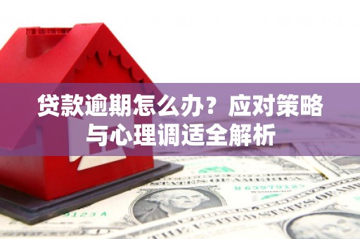竹南贷款逾期怎么办？应对策略与心理调适全解析