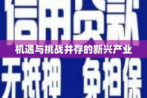 竹南机遇与挑战并存的新兴产业