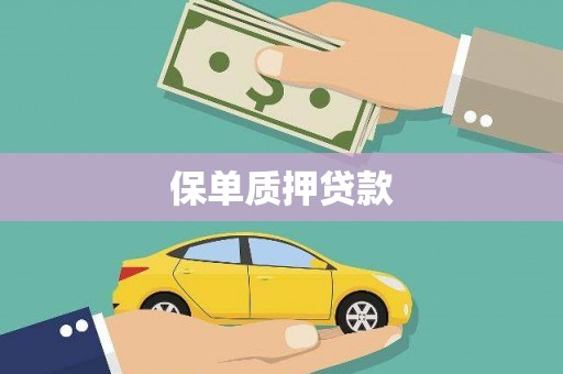 竹南保单质押贷款