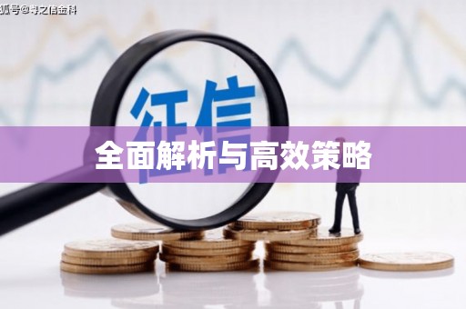 竹南全面解析与高效策略
