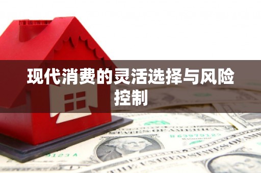 竹南现代消费的灵活选择与风险控制