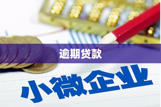 竹南逾期贷款