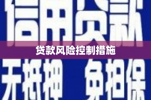 竹南贷款风险控制措施