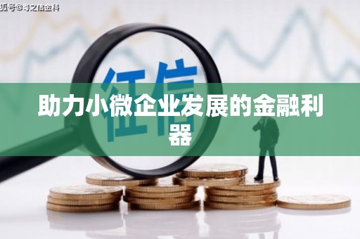 竹南助力小微企业发展的金融利器