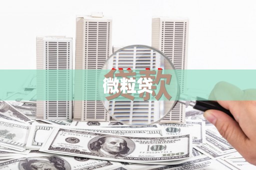 竹南微粒贷