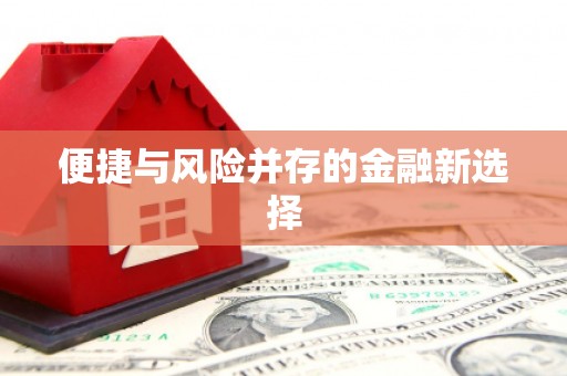竹南便捷与风险并存的金融新选择