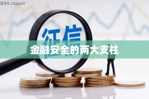 竹南金融安全的两大支柱