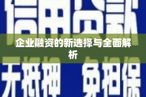 竹南企业融资的新选择与全面解析