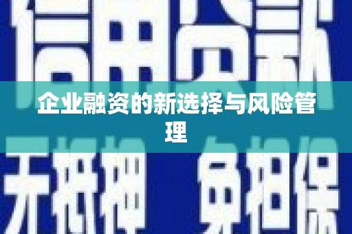 竹南企业融资的新选择与风险管理