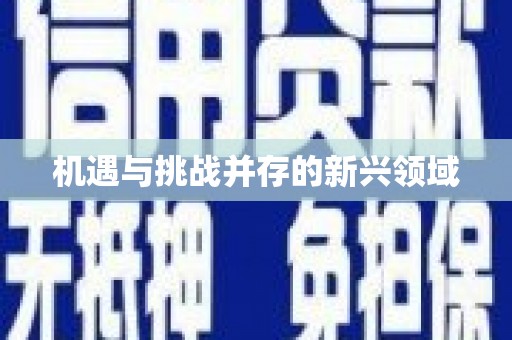 竹南机遇与挑战并存的新兴领域