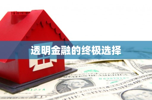 竹南透明金融的终极选择
