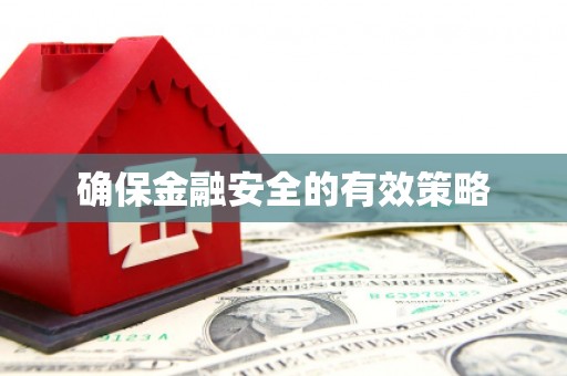 竹南确保金融安全的有效策略
