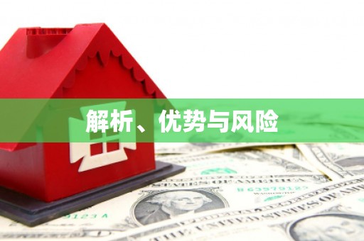 竹南解析、优势与风险